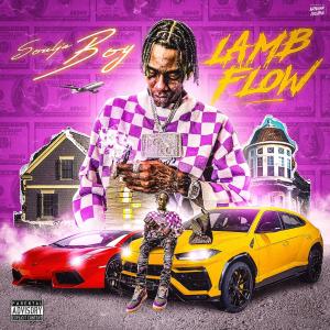 Lamb Flow (Explicit)