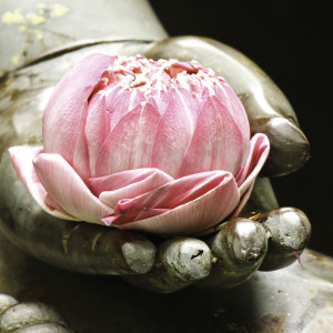 Traditional Buddhist Morning Recitation dari Buddhist Chants and Music