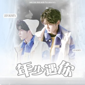 Listen to 年少遇你纯伴奏 (伴奏) song with lyrics from SHUTIAO