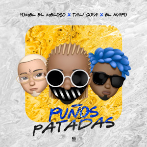 Listen to Puños Patadas (Explicit) song with lyrics from Tali Goya