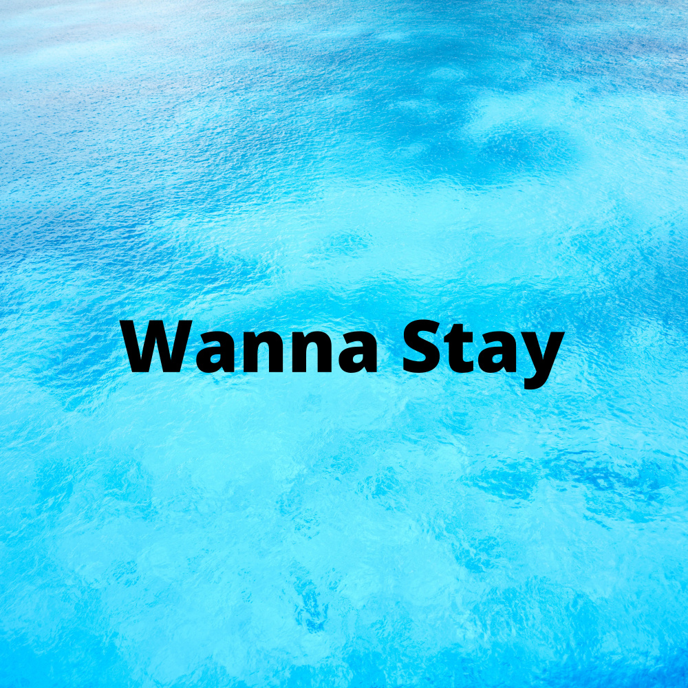 Wanna Stay