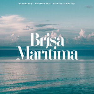 Album Brisa Marítima from Music for Calming Dogs