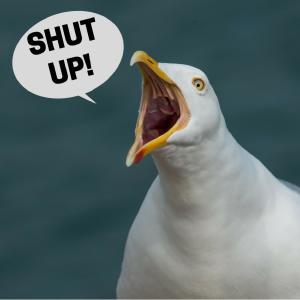 Listen to Shut Up! (Explicit) song with lyrics from Alice Minguez