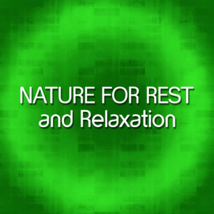 ดาวน์โหลดและฟังเพลง Wetland Birds พร้อมเนื้อเพลงจาก Nature Sounds for Sleep and Relaxation