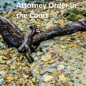 Dengarkan Attorney Order in the Court lagu dari Daniel Adams dengan lirik