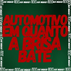 ดาวน์โหลดและฟังเพลง Automotivo Enquanto a Brisa Bate (Explicit) พร้อมเนื้อเพลงจาก mc lipzl
