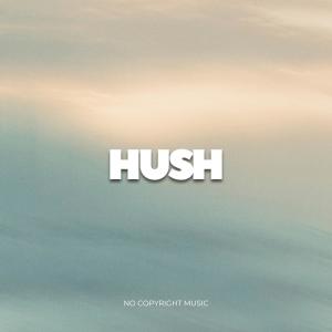 收聽NoCopyrightMusic的"HUSH" (feat. STAV)歌詞歌曲