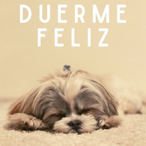Listen to CALMA A TU PERRO song with lyrics from CALMANTE PARA PERROS