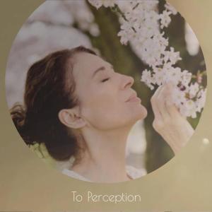Album To Perception from 