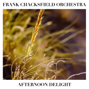 ดาวน์โหลดและฟังเพลง Afternoon Delight พร้อมเนื้อเพลงจาก Frank Chacksfield Orchestra