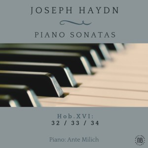 收听Ante Milich的Keyboard Sonata No. 34 in D Major, Hob.XVI:33: III. Tempo di Menuet歌词歌曲