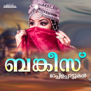 Listen to Ikalithenthanu song with lyrics from Naseeb Nilmbur