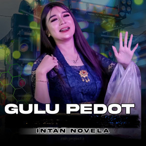Album Gulu Pedot oleh Intan Novela