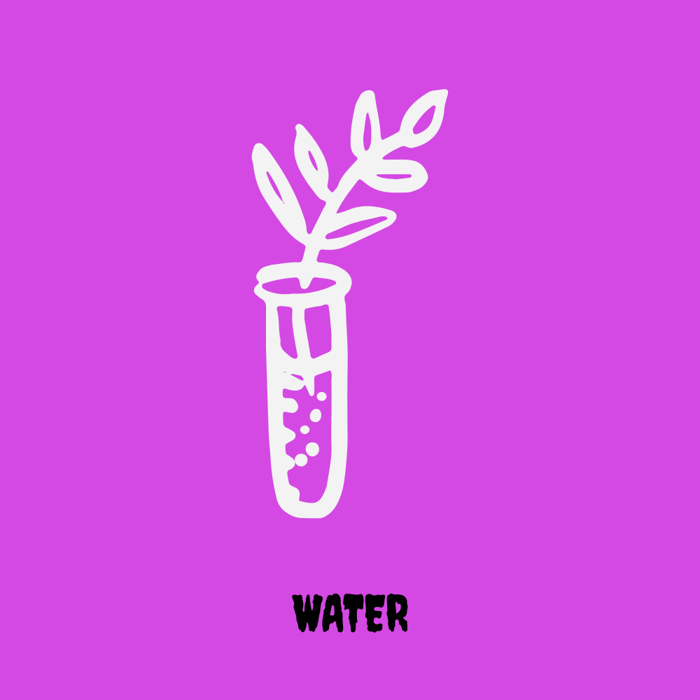 Water