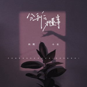 收聽向熙的分手後才懂事 (伴奏)歌詞歌曲