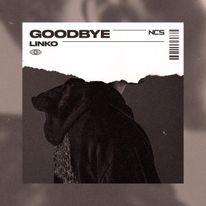 收聽Linko的Goodbye歌詞歌曲