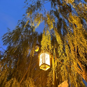 Listen to 寻光 (完整版) song with lyrics from 李佳龙Jog