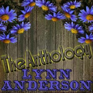 ดาวน์โหลดและฟังเพลง The Devil Went Down To Georgia พร้อมเนื้อเพลงจาก Lynn Anderson