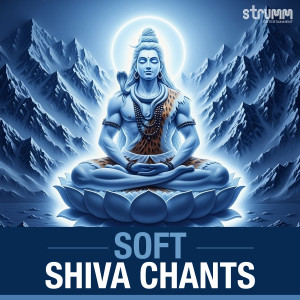 Iwan Fals & Various Artists的專輯Soft Shiva Chants