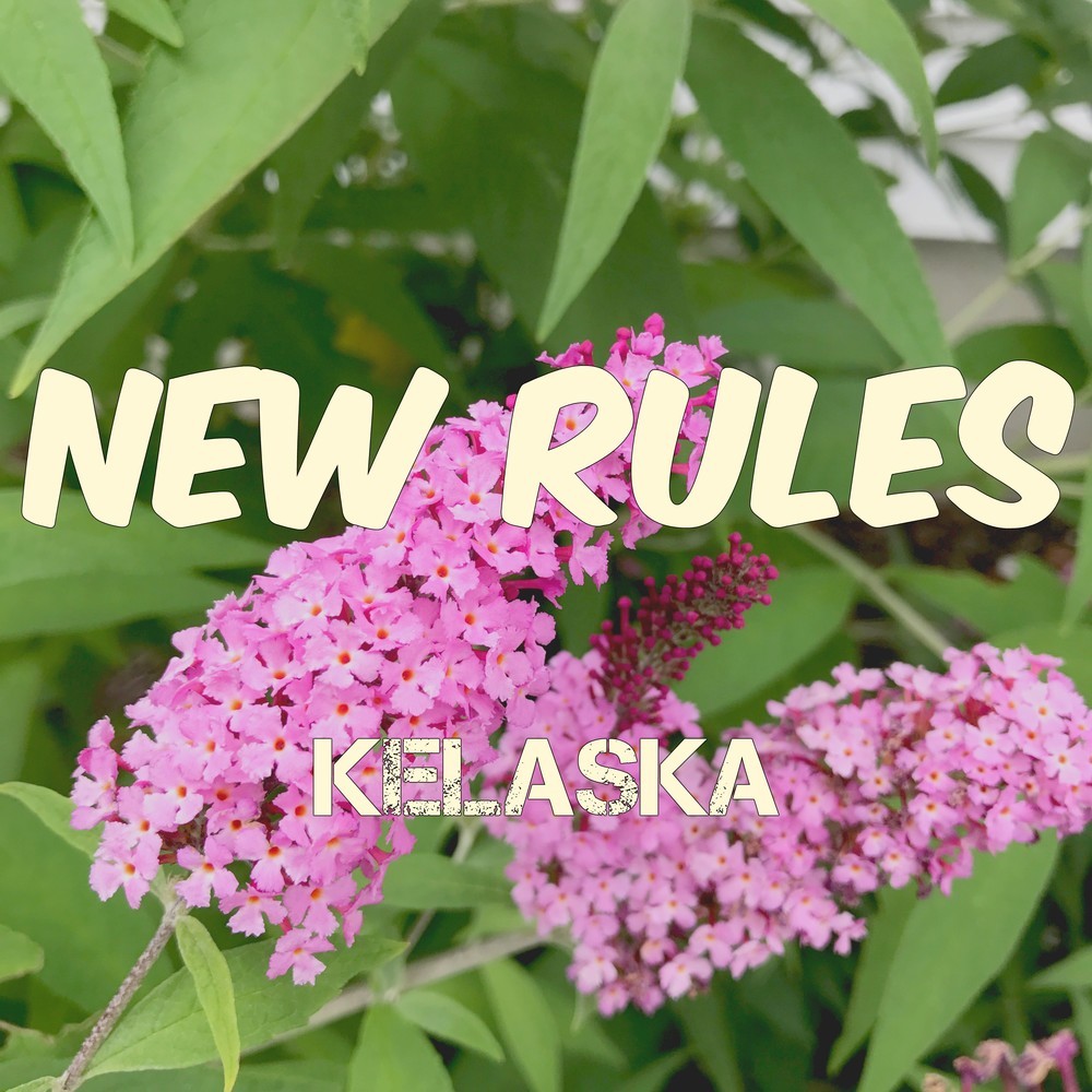 New Rules