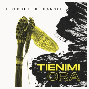 Listen to Pioverà song with lyrics from I Segreti Di Hansel