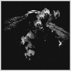 收聽TUNDRAMANE的ATLAS CHAMBER歌詞歌曲