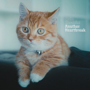 Oslo Ibrahim的專輯Another Heartbreak