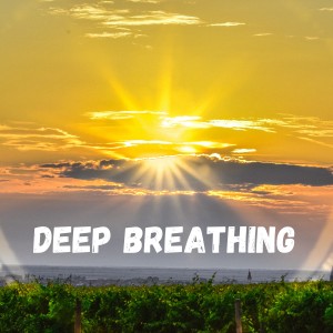 Dog Calming Music的專輯Deep Breathing