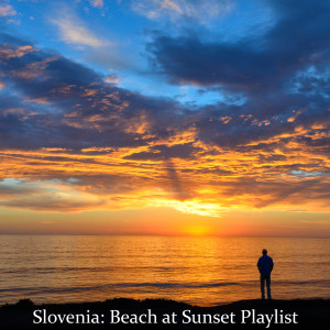 Listen to Najino Poletje song with lyrics from Sasa Lesnjek