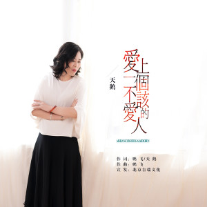 Album 爱上一个不该爱的人 oleh 天鹅