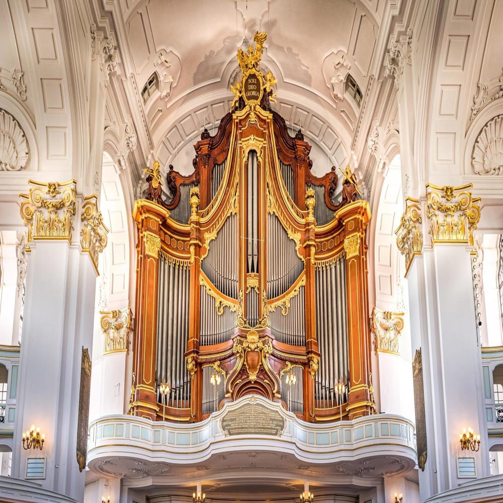 Old Town ORGAN