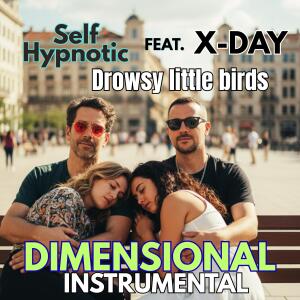收聽Self Hypnotic的Drowsy little Birds (feat. X-Day) (Dimensional instrumental)歌詞歌曲