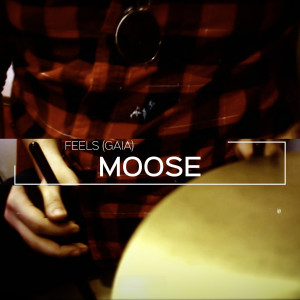 Album Feels (Gaia) oleh Moose