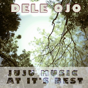 อัลบัม Juju Music At Its Best ศิลปิน Dele Ojo