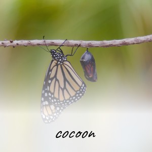 Dengarkan Cocoon lagu dari The Royal Philharmonic Orchestra dengan lirik