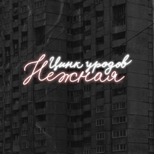 收聽ЦИНК УРОДОВ的Нежная (Explicit)歌詞歌曲