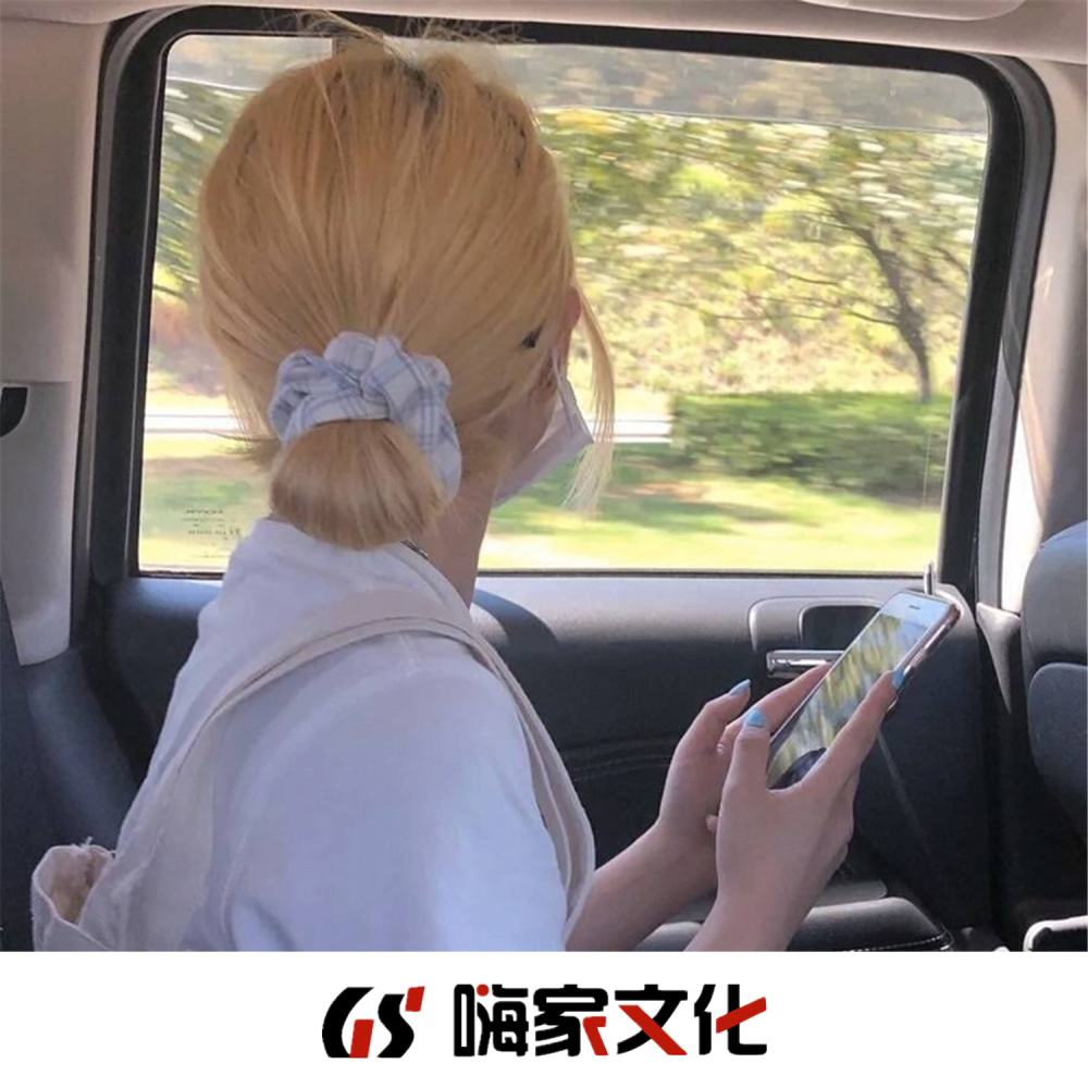 韩国蓝调 (DJ抖音版)
