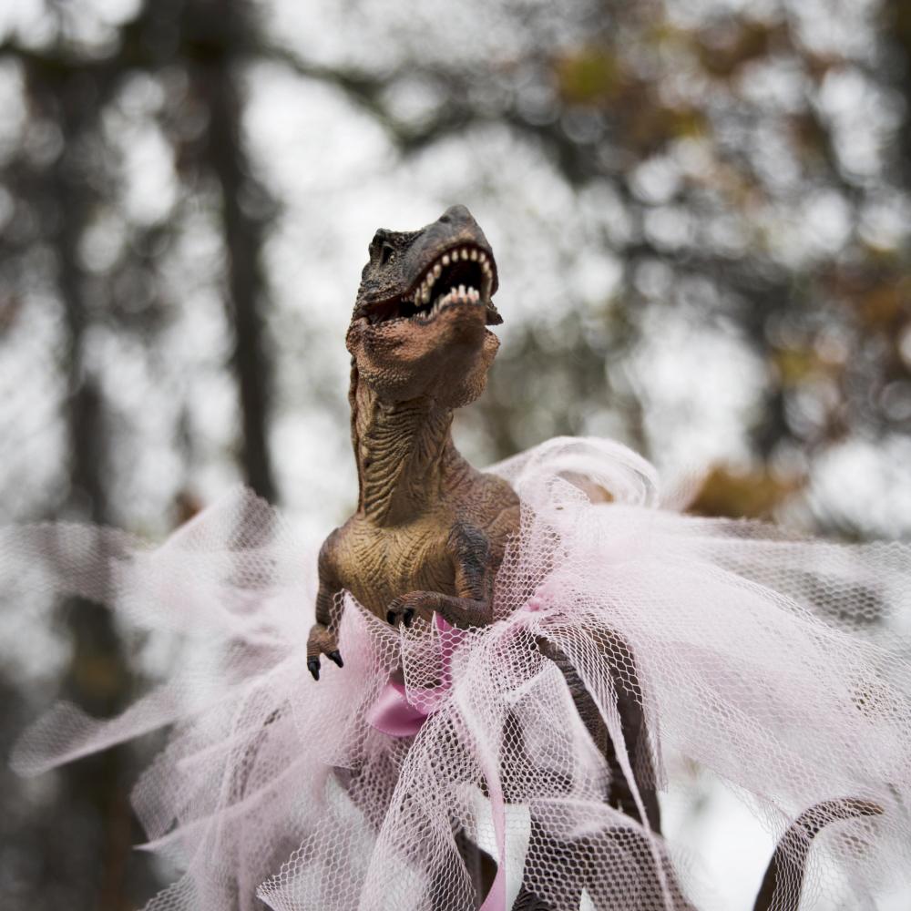 Au paradis des dinosaures