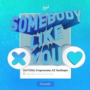 อัลบัม Somebody Like You (Acoustic) ศิลปิน FrogMonster