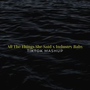 Listen to All The Things She Said x Industry Baby (TikTok Mashup) (Remix) song with lyrics from t.A.T.u.