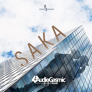 ดาวน์โหลดและฟังเพลง Saka พร้อมเนื้อเพลงจาก AudioGasmic SoundZ