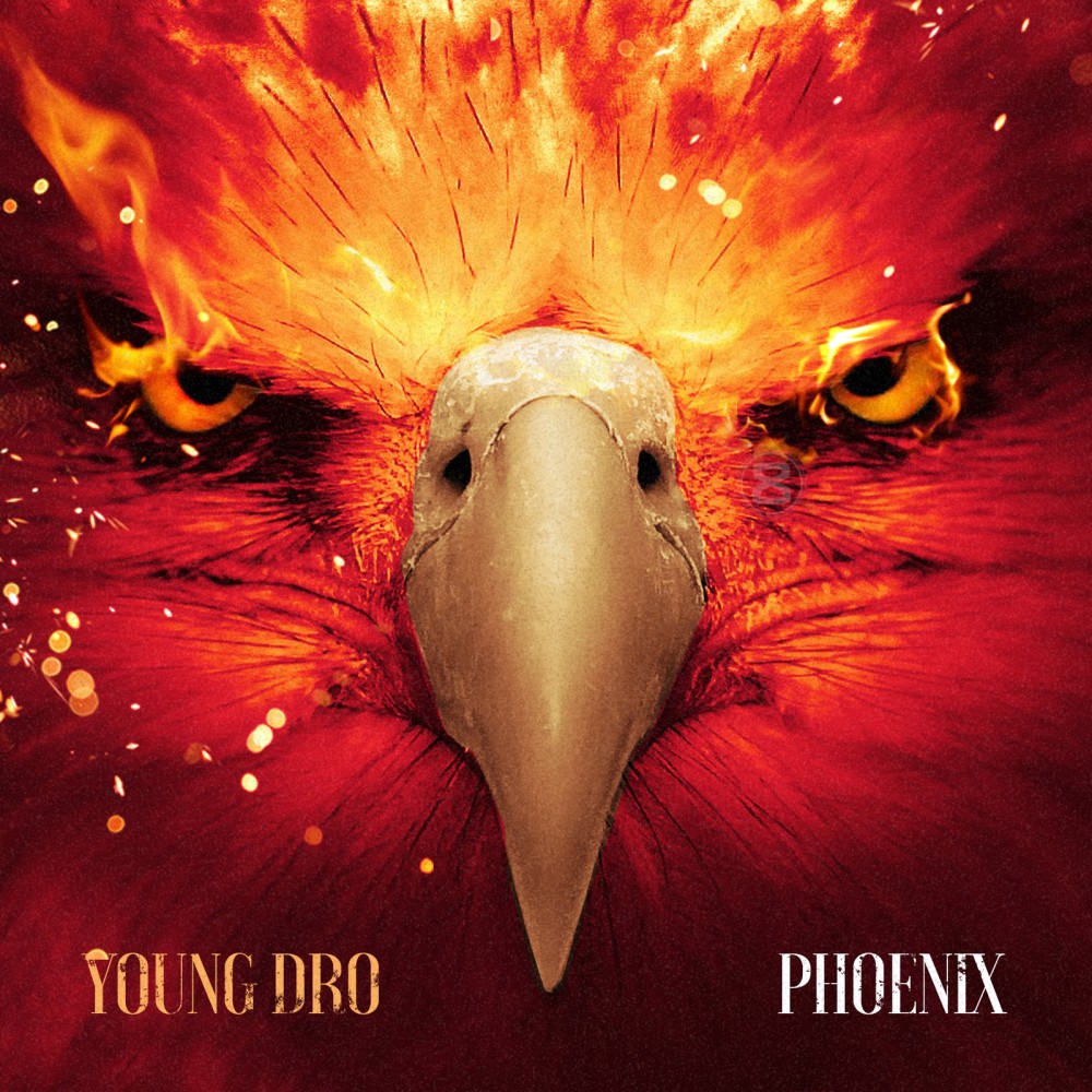 Do Your Thing Dro (Explicit)
