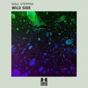 收聽Soul Steppah的Wild Side歌詞歌曲