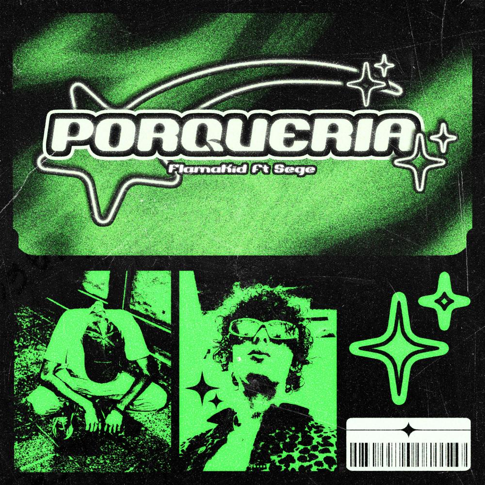 Porqueria