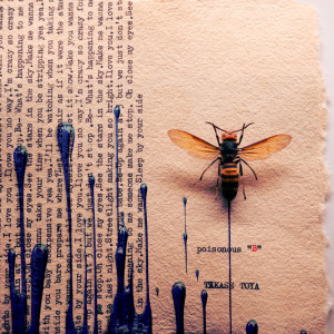 Listen to poisonous "B" song with lyrics from TakaseToya