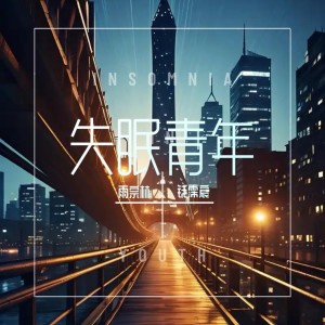 Listen to 失眠青年 (伴奏) song with lyrics from 雨宗林