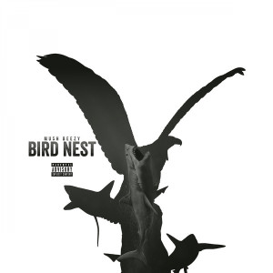 Mush Beezy的專輯Bird Nest (Explicit)