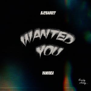 收聽Dj2Saucey的Wanted You (feat. Vanicka)歌詞歌曲