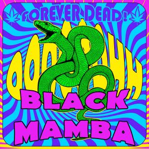 Forever Dead!的專輯Black Mamba (Radio Edit) (Explicit)