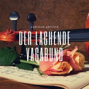 Listen to Der Hula Hup Song song with lyrics from Danny Mann